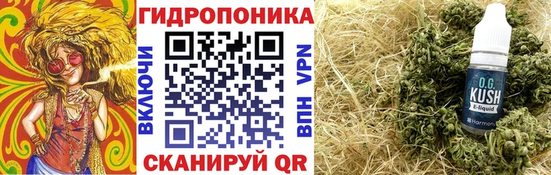 Купить наркотики сайты Нолинск АМФ Кетамин МАРИХУАНА мега сайт Мефедрон Alpha-PVP