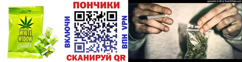 Cannafood конопля  kraken зеркало  Нолинск 