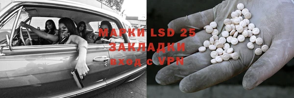 PSILOCYBIN Абаза