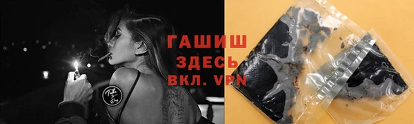 индика Осинники