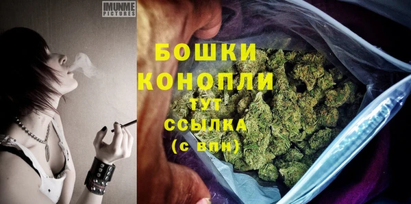 PSILOCYBIN Абаза